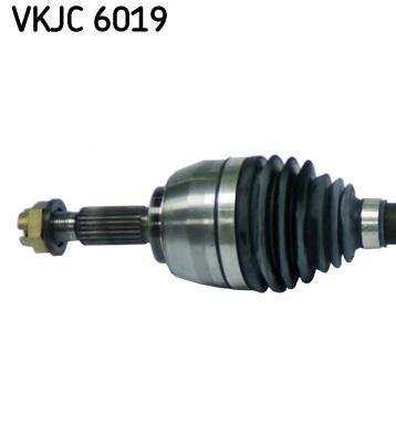 Cardan SKF VKJC 6019